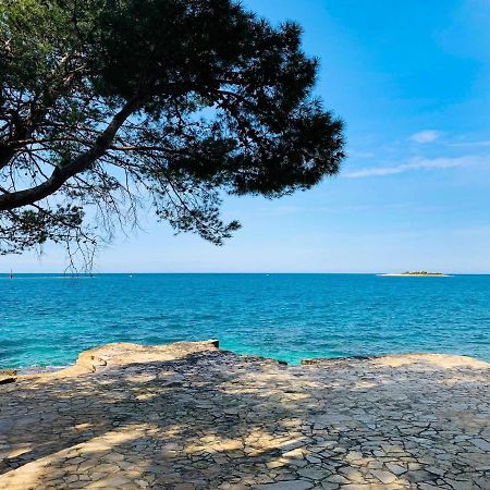 App Fiorela Poreč Extérieur photo
