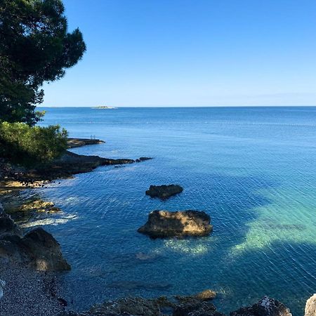 App Fiorela Poreč Extérieur photo